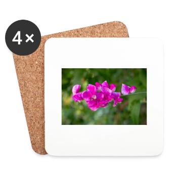immerwährende Erbse mehrjährige Erbse Lathyrus latifolius - Untersetzer (4er-Set) - Weiß - Vorne