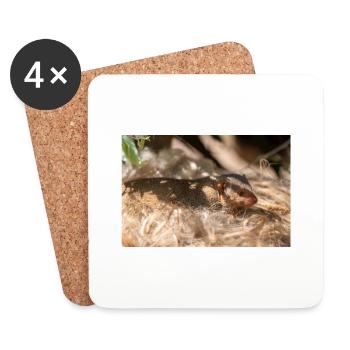 dwarf mongoose (in german Zwergmangusten) Helogale - Coasters (set of 4) - white - Front