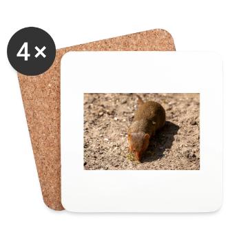 dwarf mongoose (in german Zwergmangusten) Helogale - Coasters (set of 4) - white - Front