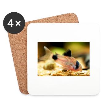 Corydoras panda catfish, panzerwels, pandawels - Dessous de verre (lot de 4) - blanc - Devant