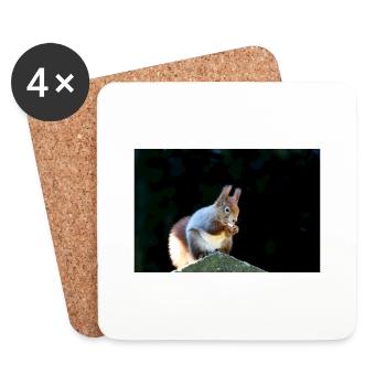 Eichhörnchen, Isibat - Untersetzer (4er-Set) - Weiß - Vorne