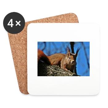 Eichhörnchen - Untersetzer (4er-Set) - Weiß - Vorne