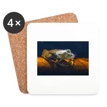 Common water frog - Coasters (set of 4) - white - Front