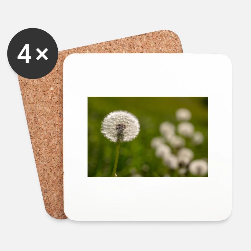 Dandelion - Coasters (set of 4) - white