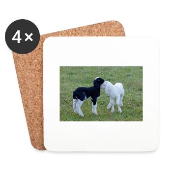 Lambs black and white - Coasters (set of 4) - white - Front