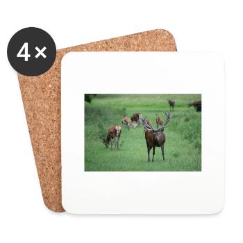 Deer with antlers DSC 0065 - Coasters (set of 4) - white - Front