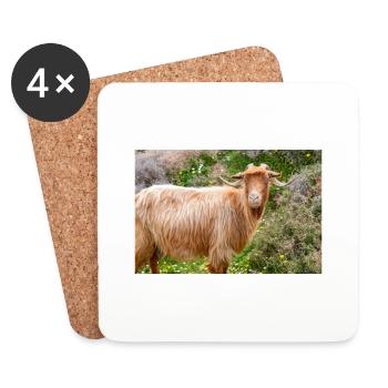 Chèvre de montagne dans le parc national Λίμνη Συμπ - Dessous de verre (lot de 4) - blanc - Devant