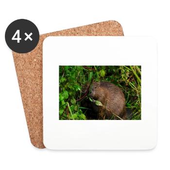 Beavers 3 - Coasters (set of 4) - white - Front