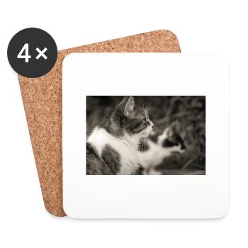 portrait de chats - Dessous de verre (lot de 4) - blanc - Devant