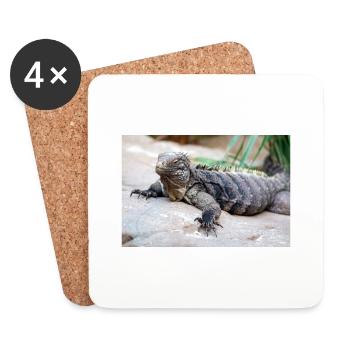 Cuban rock iguana also Cuban ground iguana - Coasters (set of 4) - white - Front