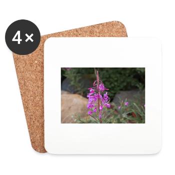 fireweed also willow herb also rosebay willowherb - Coasters (set of 4) - white - Front