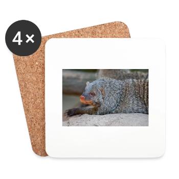 Banded Mongoose or Zebra Mongoose Zebramanguste - Coasters (set of 4) - white - Front