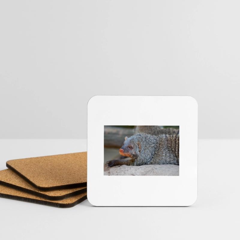 Gebänderte Manguste oder Zebramanguste Zebramanguste Untersetzer (4er-Set)