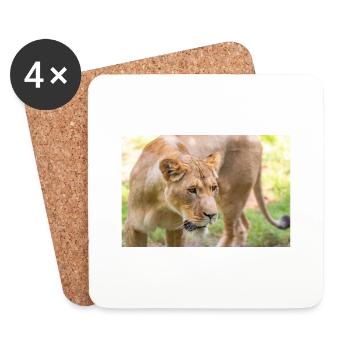 Lioness lion (in german Löwin) Panthera leo - Coasters (set of 4) - white - Front