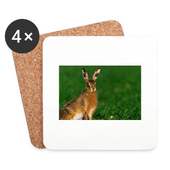 000 5819 DxO DeepPRIME XD2s XD - Coasters (set of 4) - white - Front