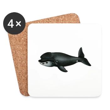 bowhead whale - Coasters (set of 4) - white - Front