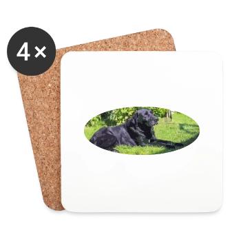 labrador - Coasters (set of 4) - white - Front