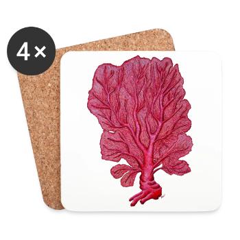 Corail - Venus Coral red - Coral Sea fans - Coasters (set of 4) - white - Front