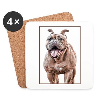 VIEUX BOULEDOGUE ANGLAIS CHIEN CHIEN CHIENS BOULEDOGUES - Dessous de verre (lot de 4) - blanc - Devant