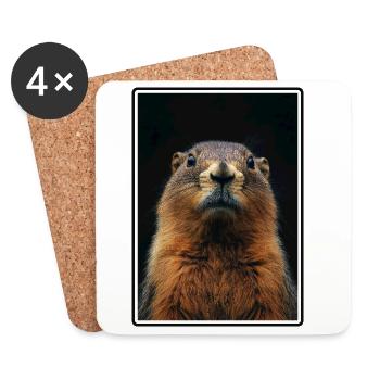 Marmottes Marmotte - Dessous de verre (lot de 4) - blanc - Devant