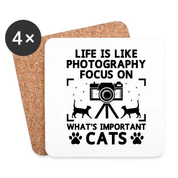 Cat Photographers Cat Lovers Photograpy Cats Photo - Coasters (set of 4) - white - Front