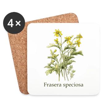 Frasera speciosa - Design for botanical - Coasters (set of 4) - white - Front