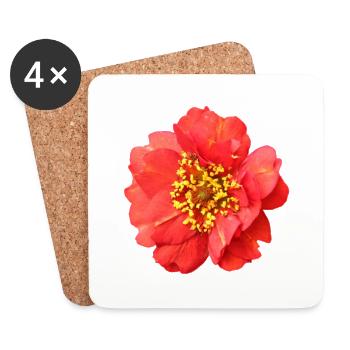 rote Blume Rose - Untersetzer (4er-Set) - Weiß - Vorne