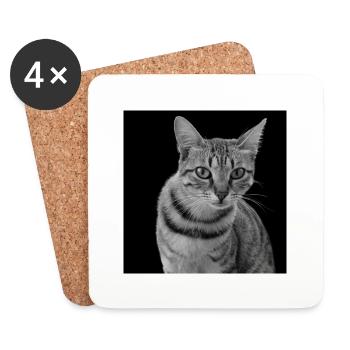 Katze weiß-schwarz Katze schwarzweiß - Untersetzer (4er-Set) - Weiß - Vorne