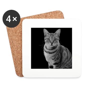 Katze weiß-schwarz Katze schwarzweiß - Untersetzer (4er-Set) - Weiß - Vorne