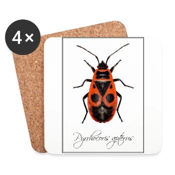 Pyrrhocoris apterus - Coasters (set of 4) - white - Front