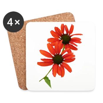 Echinacea ist seit alters her eine Heilpflanze - Untersetzer (4er-Set) - Weiß - Vorne