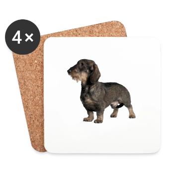 Rauhhaardackel - Coasters (set of 4) - white - Front