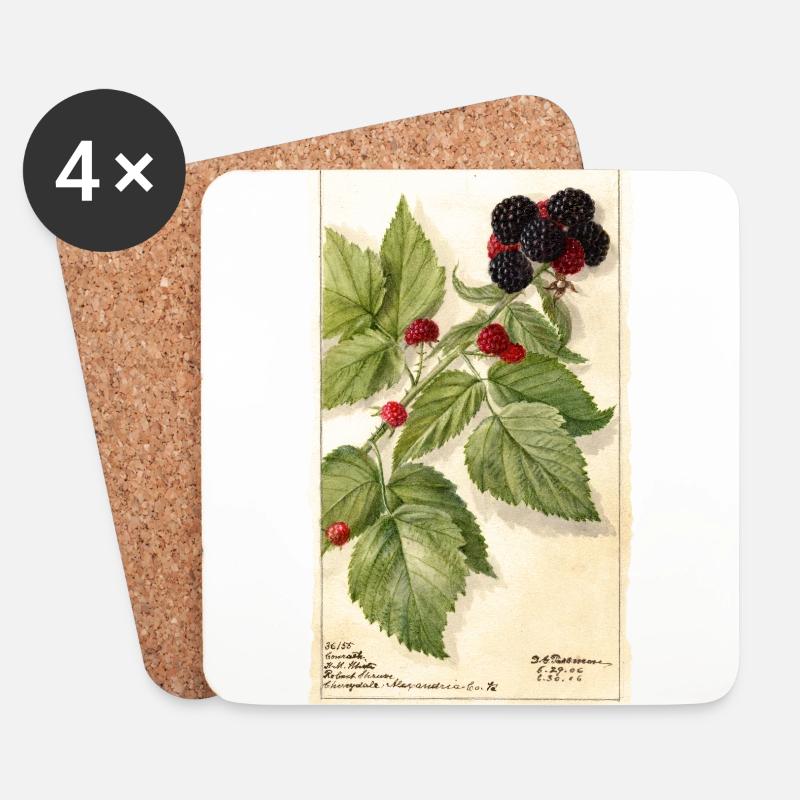brombeeren garten rot beeren illustration vintage - Untersetzer (4er-Set) - Weiß