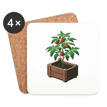 Tomato plant in pot - Coasters (set of 4) - white - Front