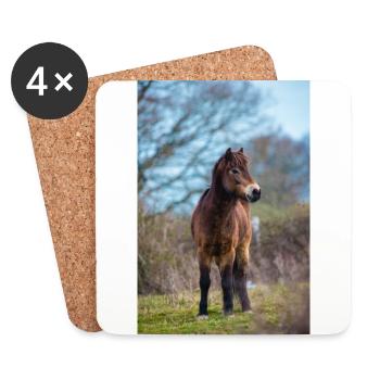 pony exmoor - Coasters (set of 4) - white - Front