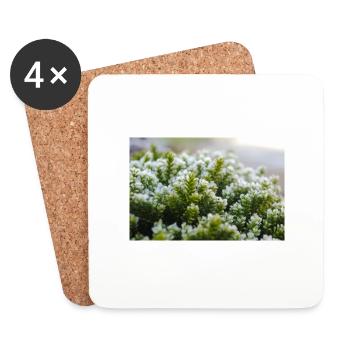 Coup de macro nature mousse - Dessous de verre (lot de 4) - blanc - Devant