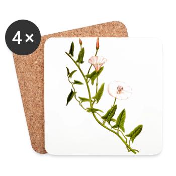 herbes thym romarin persil origan aneth - Dessous de verre (lot de 4) - blanc - Devant