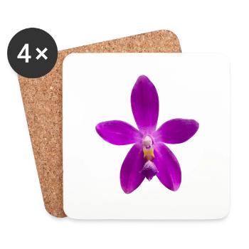 Orchidee Phalaenopsis speciosa x violacea Blüte - Untersetzer (4er-Set) - Weiß - Vorne
