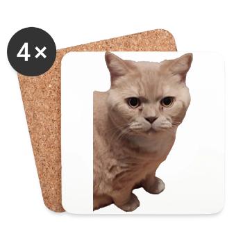 british shorthair cat cats - Coasters (set of 4) - white - Front