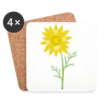 Gelbes Frühlings-Adonisröschen – Blumenmotiv - Untersetzer (4er-Set) - Weiß - Vorne
