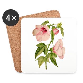 Hibiscus, botanical illustration in vintage style - Coasters (set of 4) - white - Front