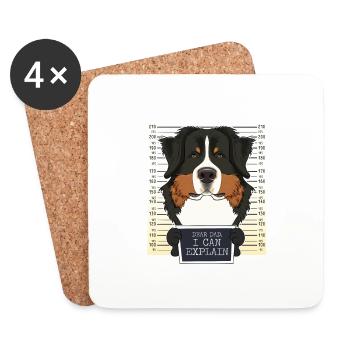 Bouvier bernois Papa I Bouvier Bernois - Dessous de verre (lot de 4) - blanc - Devant