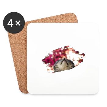 Cat Kitten British Shorthair Funny Cute Girl - Coasters (set of 4) - white - Front