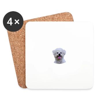 Beware of the mistress, harmless Bichon Frisé - Coasters (set of 4) - white - Front