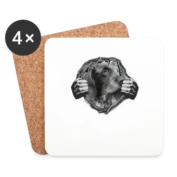 Dogs German Wirehaired Dog Owners - Coasters (set of 4) - white - Front