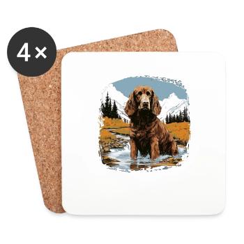 Dog American Water Spaniel - Coasters (set of 4) - white - Front
