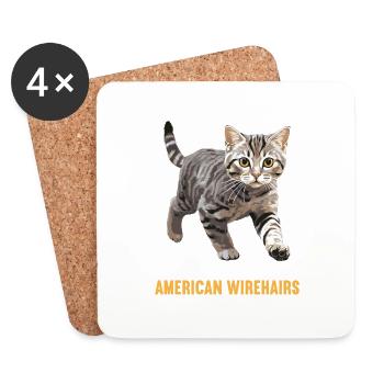 Chat Chats American Wirehair - Dessous de verre (lot de 4) - blanc - Devant