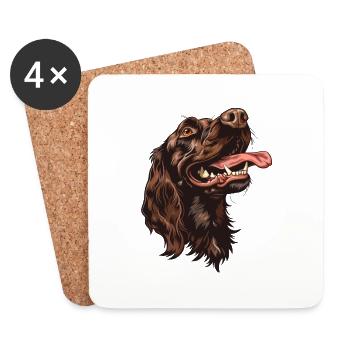Boykin Spaniel | Cartoon Artwork - Coasters (set of 4) - white - Front