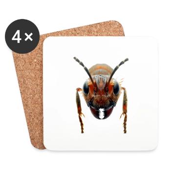 Ant - Coasters (set of 4) - white - Front
