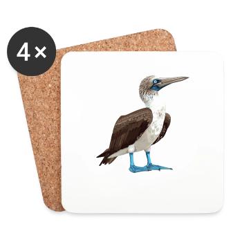 Blue-footed booby - Coasters (set of 4) - white - Front